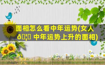 面相怎么看中年运势(女人 🦆 中年运势上升的面相)